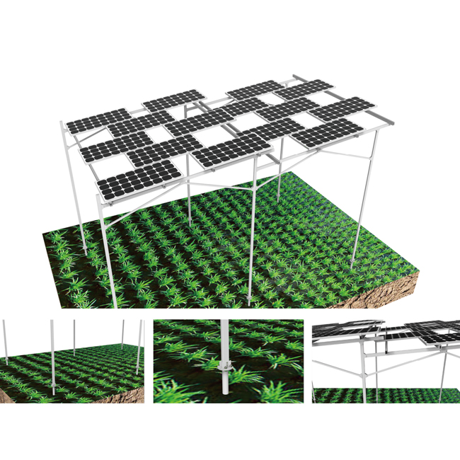 un nuevo modelo de agricultura fotovoltaica: un modelo complementario de agricultura y fotovoltaica 