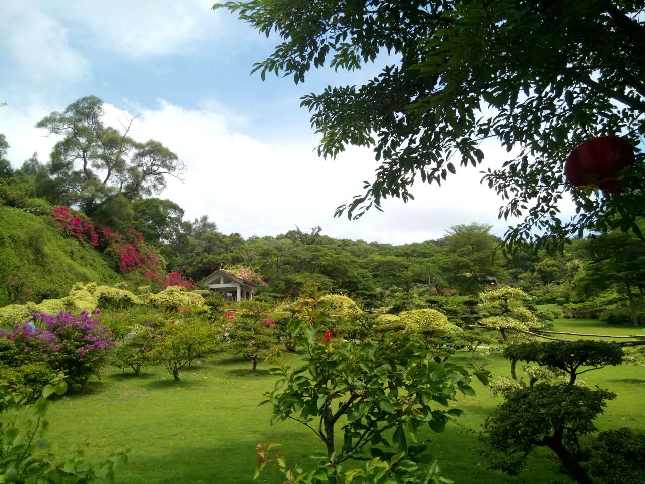 actividad de la compañía en dongping mount